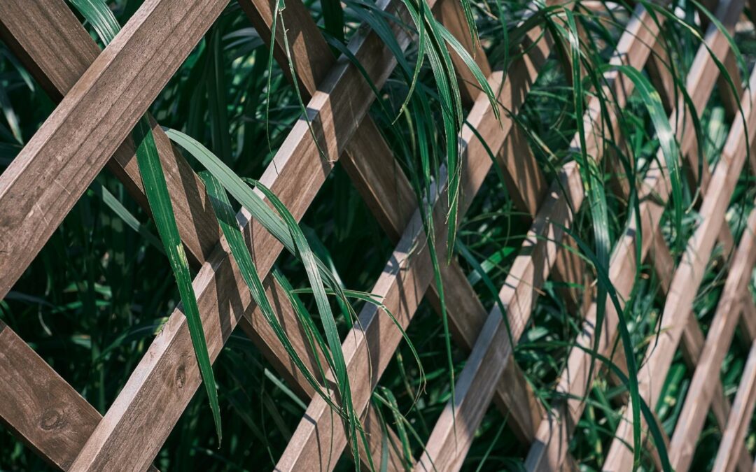 Comment renforcer et solidifier une clôture en bois ?