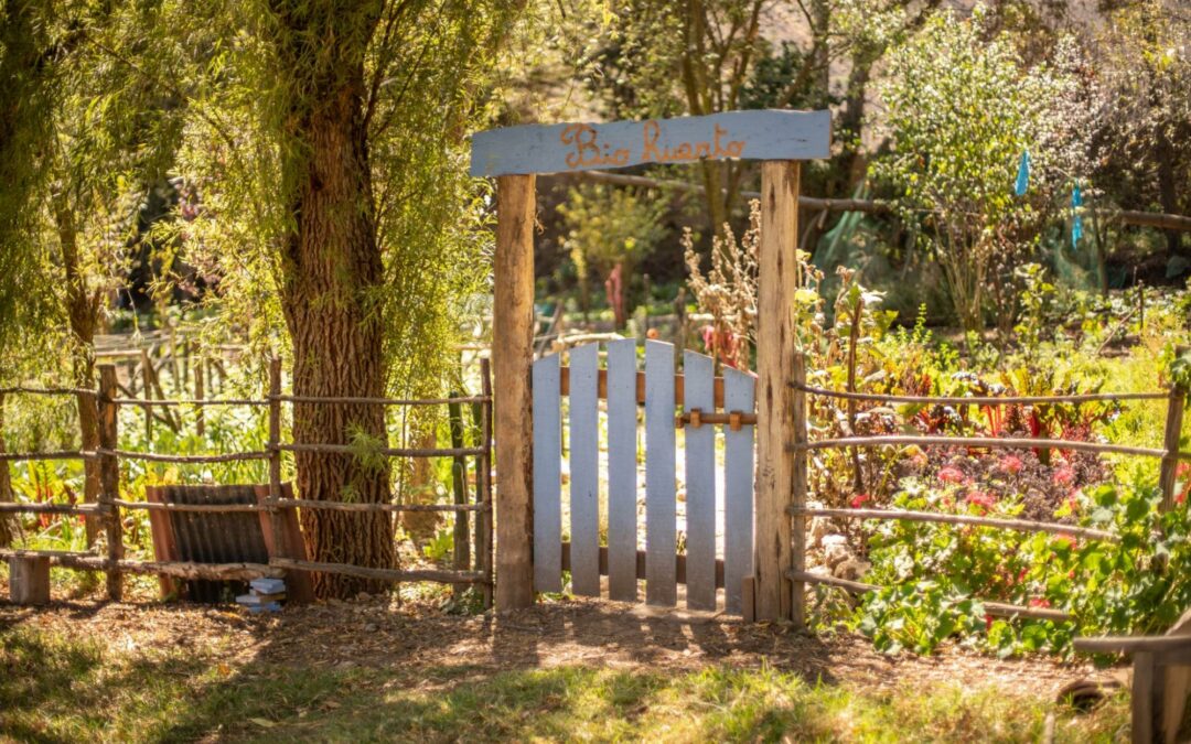 4 astuces pour bien choisir son portillon de jardin