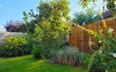 Les clôtures décoratives : idéales pour fermer votre jardin